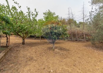 Giardino - Casa indipendente Sp178, Caltagirone - foto 13