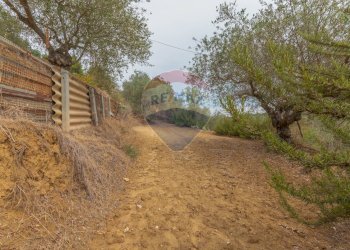 Giardino - Casa indipendente Sp178, Caltagirone - foto 26