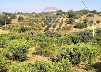 Vista delle montagne - Terreno agricolo Strada Vicinale Albanelli
 
snc, Caltagirone - foto 7