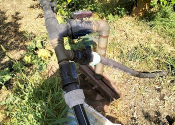 Giardino - Terreno agricolo Strada Vicinale Albanelli
 
snc, Caltagirone - foto 14