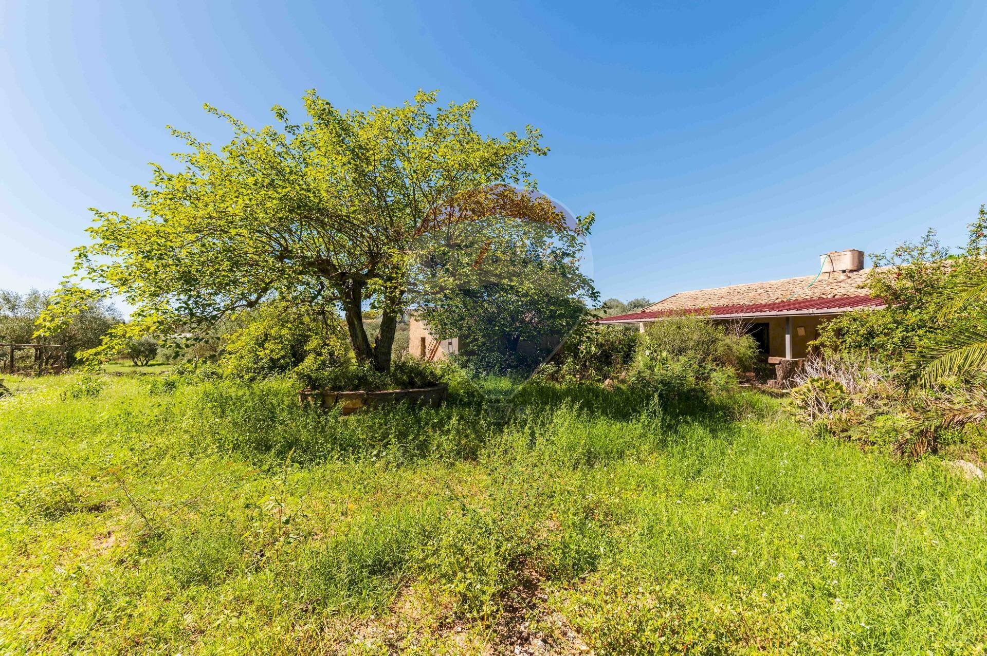 Giardino - Villa cda Renelle
 
sn, Caltagirone - foto 3