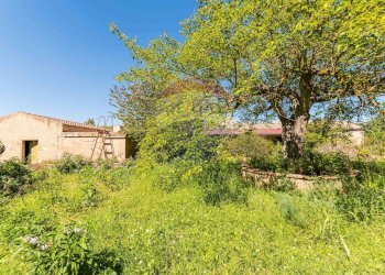 Giardino - Villa cda Renelle
 
sn, Caltagirone - foto 21