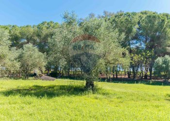 Giardino - Villa cda Renelle
 
sn, Caltagirone - foto 22