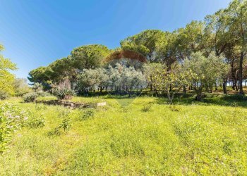 Giardino - Villa cda Renelle
 
sn, Caltagirone - foto 23