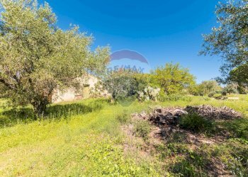 Giardino - Villa cda Renelle
 
sn, Caltagirone - foto 24