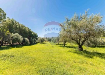 Giardino - Villa cda Renelle
 
sn, Caltagirone - foto 25