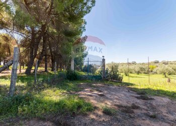 Giardino - Villa cda Renelle
 
sn, Caltagirone - foto 26