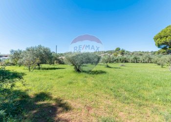 Giardino - Villa cda Renelle
 
sn, Caltagirone - foto 27