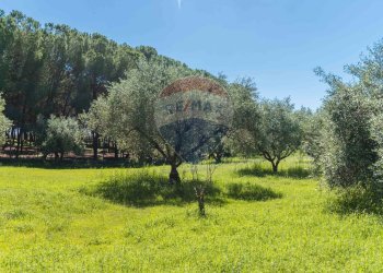 Giardino - Villa cda Renelle
 
sn, Caltagirone - foto 28