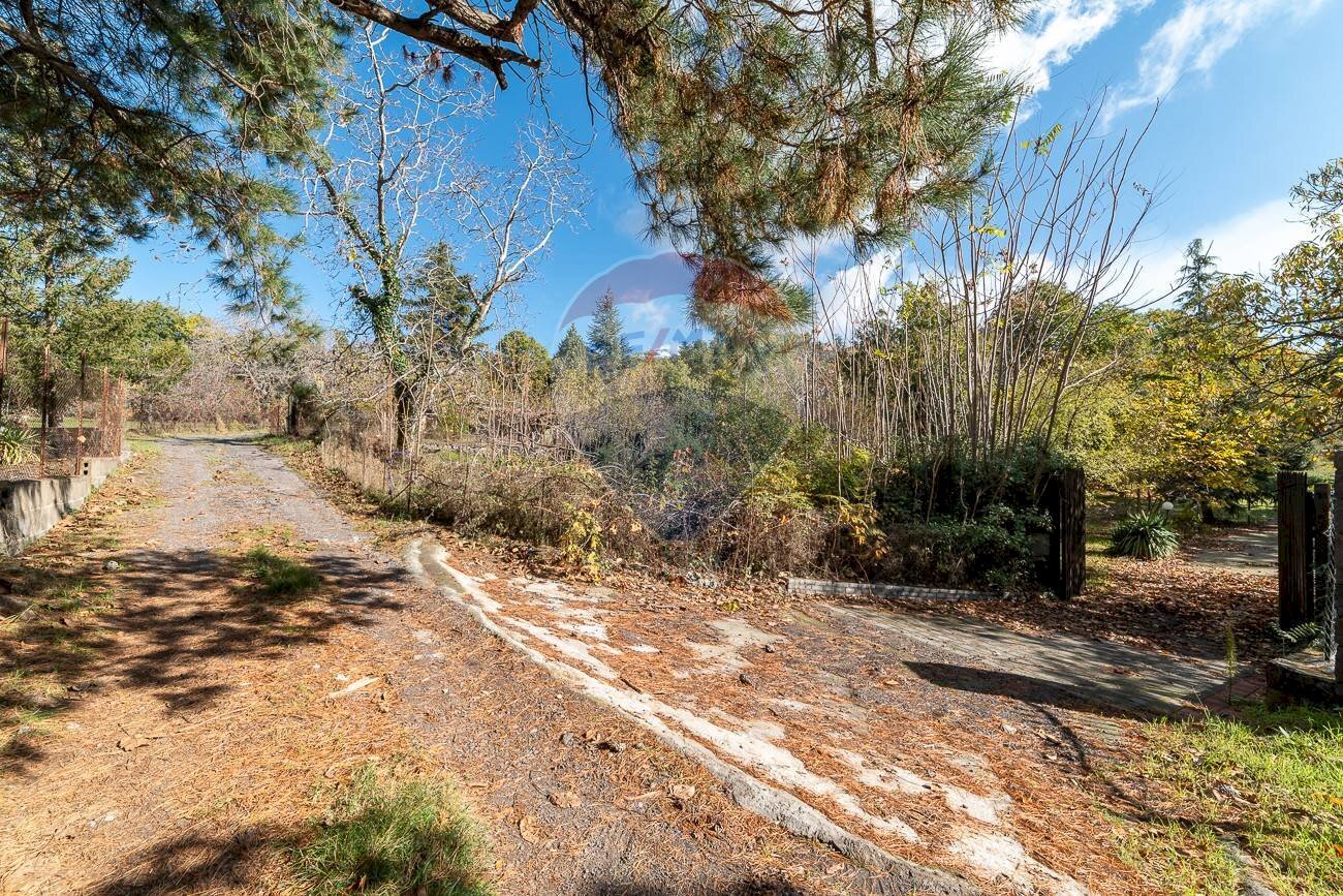 Giardino - Agricultural land Contrada Marina
 
snc, Adrano - photo 2