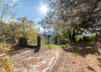 Giardino - Terreno agricolo Contrada Marina
 
snc, Adrano - foto 1