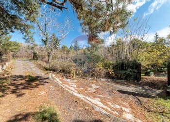 Giardino - Terreno agricolo Contrada Marina
 
snc, Adrano - foto 2