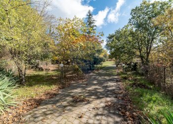 Giardino - Terreno agricolo Contrada Marina
 
snc, Adrano - foto 3