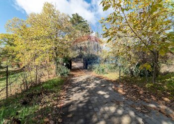 Giardino - Terreno agricolo Contrada Marina
 
snc, Adrano - foto 4