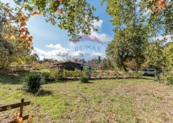 Giardino - Terreno agricolo Contrada Marina
 
snc, Adrano - foto 10