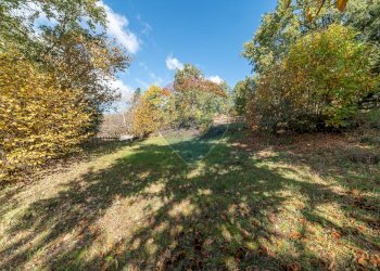 Giardino - Terreno agricolo Contrada Marina
 
snc, Adrano - foto 11