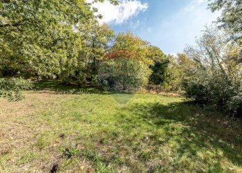 Giardino - Terreno agricolo Contrada Marina
 
snc, Adrano - foto 13