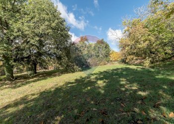 Giardino - Terreno agricolo Contrada Marina
 
snc, Adrano - foto 14