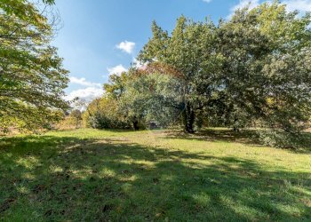Giardino - Terreno agricolo Contrada Marina
 
snc, Adrano - foto 15