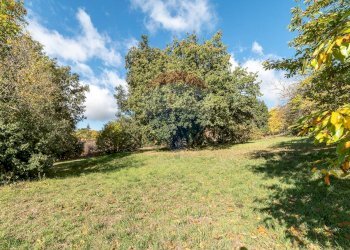 Giardino - Terreno agricolo Contrada Marina
 
snc, Adrano - foto 17