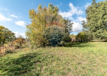 Giardino - Terreno agricolo Contrada Marina
 
snc, Adrano - foto 18