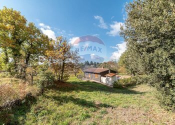 Giardino - Terreno agricolo Contrada Marina
 
snc, Adrano - foto 19