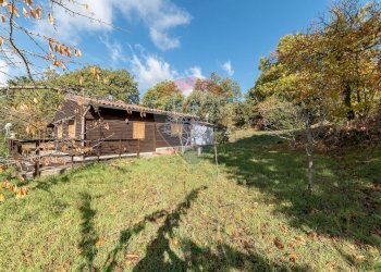 Giardino - Terreno agricolo Contrada Marina
 
snc, Adrano - foto 22