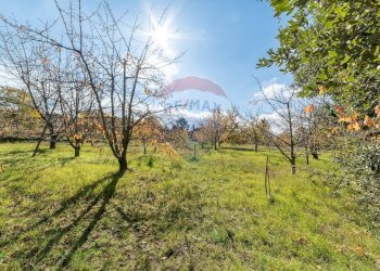 Giardino - Terreno agricolo Contrada Marina
 
snc, Adrano - foto 24