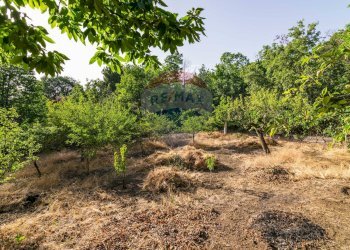 Giardino - Villa C.DA SCOLARO CISTERNE
 
snc, Adrano - foto 30