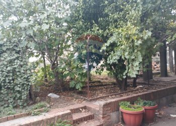 Giardino - Stabile - Palazzo via Regina Margherita
5/7, Randazzo - foto 12