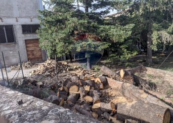 Giardino - Stabile - Palazzo via Regina Margherita
5/7, Randazzo - foto 25