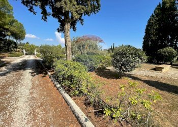 Giardino - Terreno edificabile Via Raimondo
14, Caltagirone - foto 4