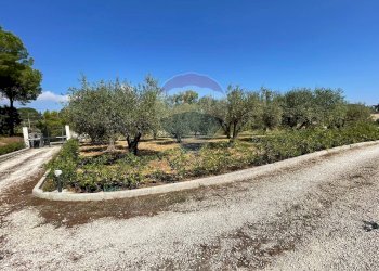 Giardino - Terreno edificabile Via Raimondo
14, Caltagirone - foto 9