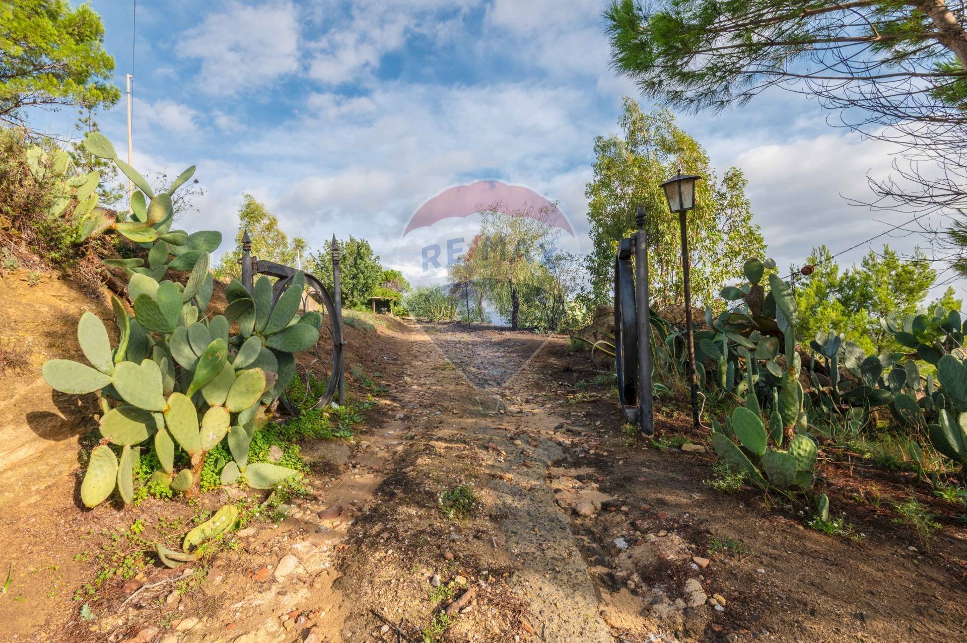 Giardino - Villa Via Madonna del Piano
110, Grammichele - foto 2