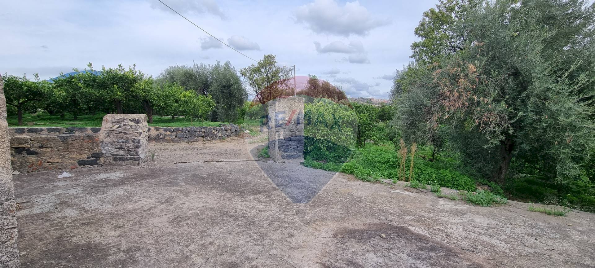 Giardino - Agricultural land CONTRADA LEONE
snc, Paterno - photo 2