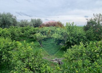 Giardino - Terreno agricolo CONTRADA LEONE
snc, Paterno - foto 1
