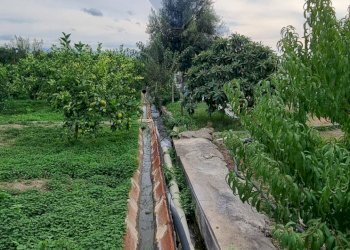 Giardino - Terreno agricolo CONTRADA LEONE
snc, Paterno - foto 5