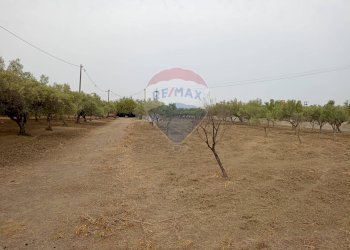 Giardino - Locale Commerciale Strada Provinciale 106
 
snc, Belpasso - foto 6