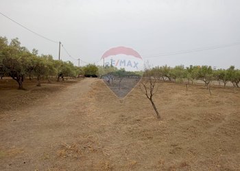 Giardino - Locale Commerciale Strada Provinciale 106
 
snc, Belpasso - foto 10