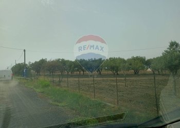 Giardino - Locale Commerciale Strada Provinciale 106
 
snc, Belpasso - foto 12