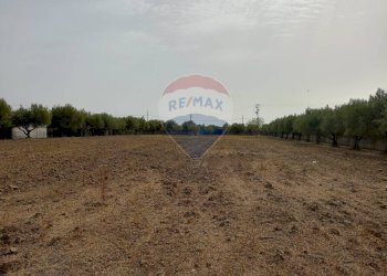 Non correlato - Locale Commerciale Strada Provinciale 106
 
snc, Belpasso - foto 17