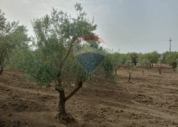 Giardino - Locale Commerciale Strada Provinciale 106
 
snc, Belpasso - foto 19