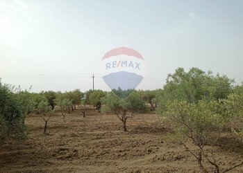 Giardino - Locale Commerciale Strada Provinciale 106
 
snc, Belpasso - foto 20