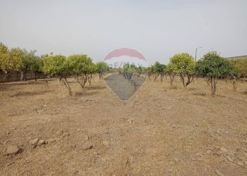 Giardino - Locale Commerciale Strada Provinciale 106
 
snc, Belpasso - foto 22