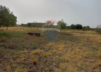 Giardino - Locale Commerciale Strada Provinciale 106
 
snc, Belpasso - foto 29