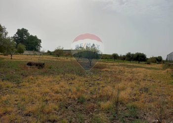 Giardino - Locale Commerciale Strada Provinciale 106
 
snc, Belpasso - foto 30