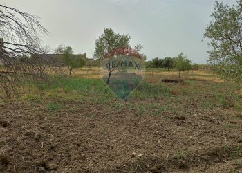 Giardino - Locale Commerciale Strada Provinciale 106
 
snc, Belpasso - foto 31