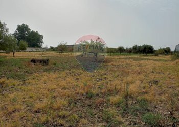 Giardino - Locale Commerciale Strada Provinciale 106
 
snc, Belpasso - foto 32