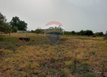 Giardino - Locale Commerciale Strada Provinciale 106
 
snc, Belpasso - foto 33