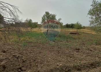 Giardino - Locale Commerciale Strada Provinciale 106
 
snc, Belpasso - foto 34